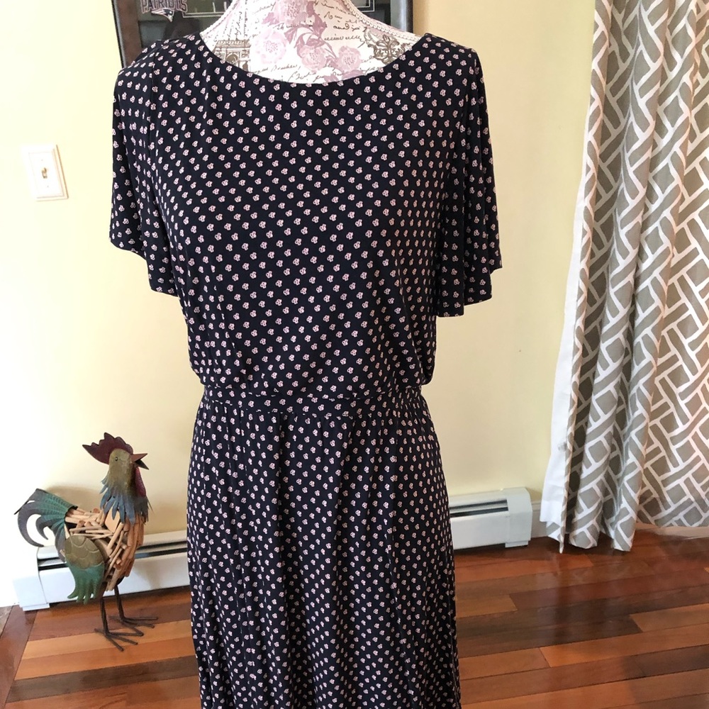 LOFT M cinch waist dress.  Knee length